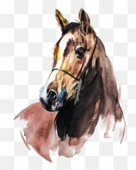 Pngsector - Watercolor Horse Clipart Png,Horse Clipart Png