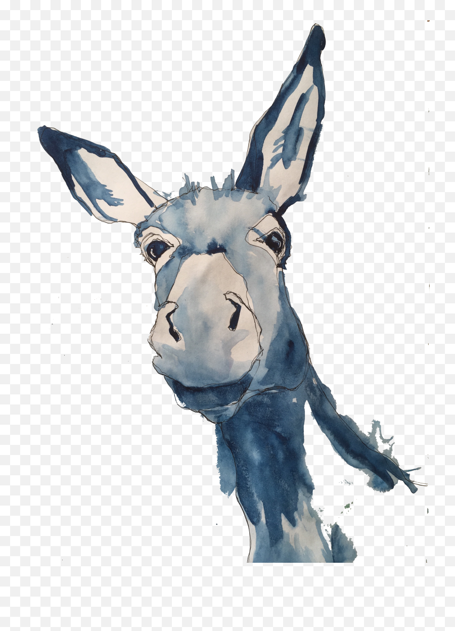 Burro - Donkey Drawings Png,Donkey Png