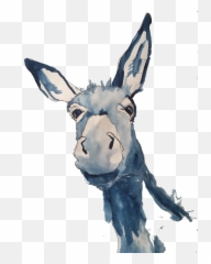 Burro - Donkey Drawings Png,Donkey Png