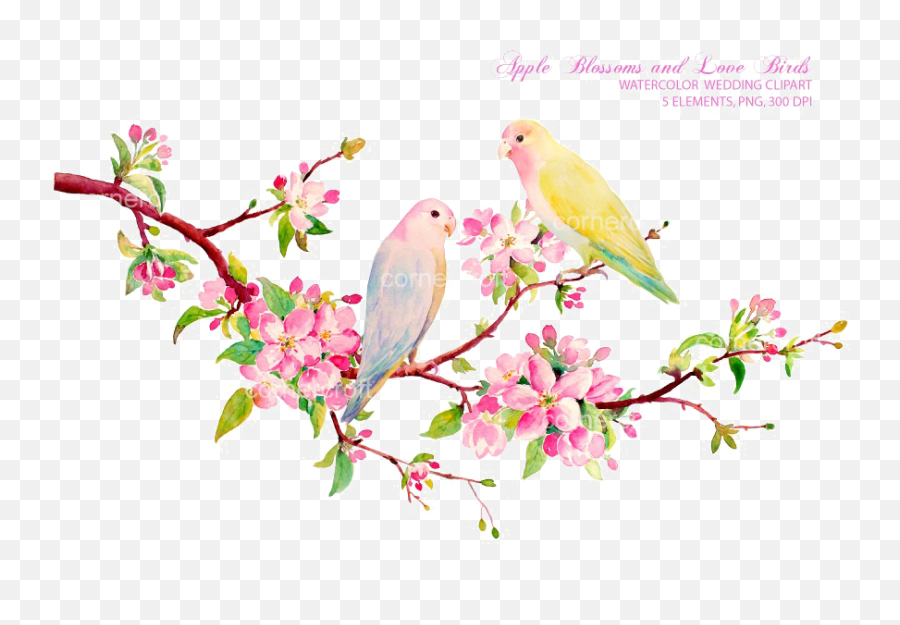 Download Love Birds Png Image - Watercolor Free Clip Art Flowers,Love Birds Png