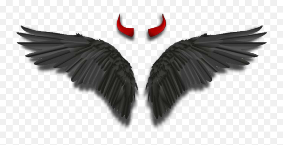 Wings - Devil Horns And Wings Png,Black Feathers Png