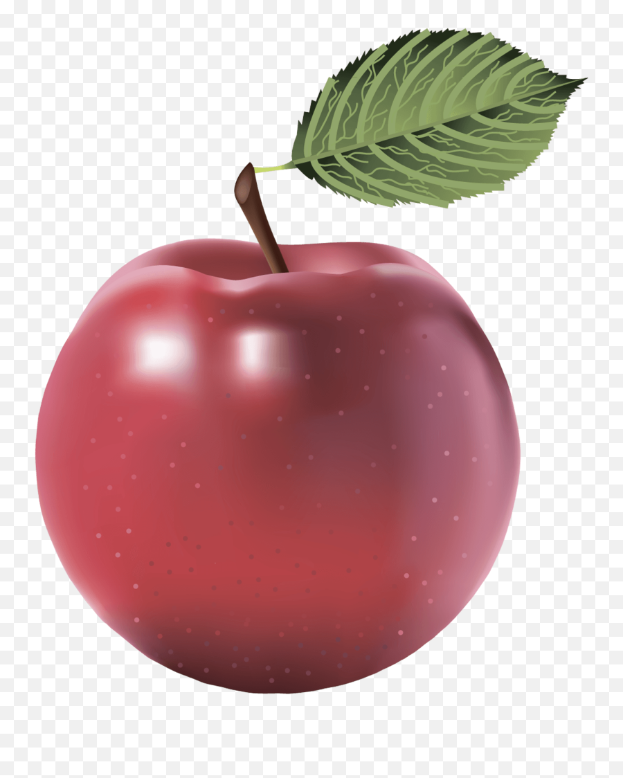 Download Png Apple Image Clipart Transparent Hq - Individual Fruits And Vegetables,Apple Png