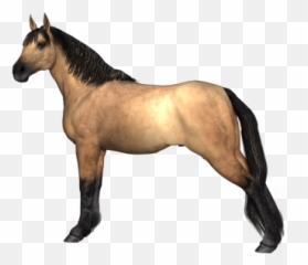 Horses Png And Vectors For Free - Imagenes Png De Animales,Horses Png