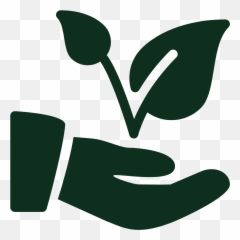 Kinnelon Colts - Kinnelon High School Athletics Png,Colts Logo Png
