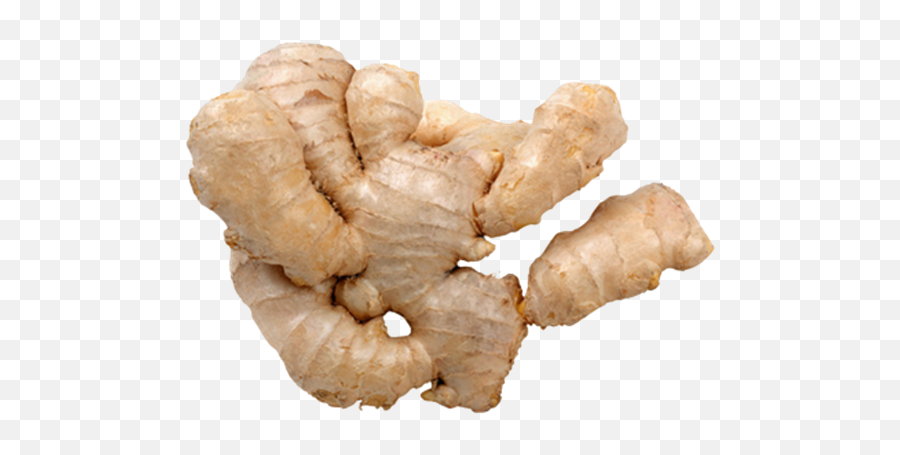 Ginger Is Good Health And Dietary Tips U2013 Daily Updates - Ginger Png,Ginger Png