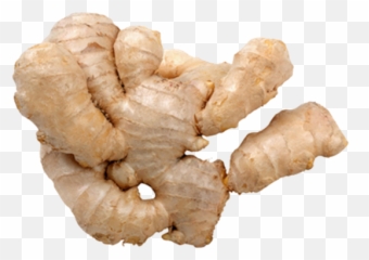 Ginger Is Good Health And Dietary Tips U2013 Daily Updates - Ginger Png,Ginger Png