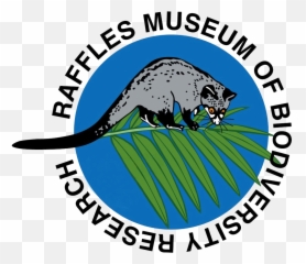 Force Office Of Scientific Research - Possum Clipart Full Possum Png,Possum Png