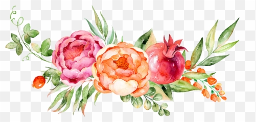 Download Decoration Flower Grape Watercolor Floral Painting - Transparent Background Pink Peony Png