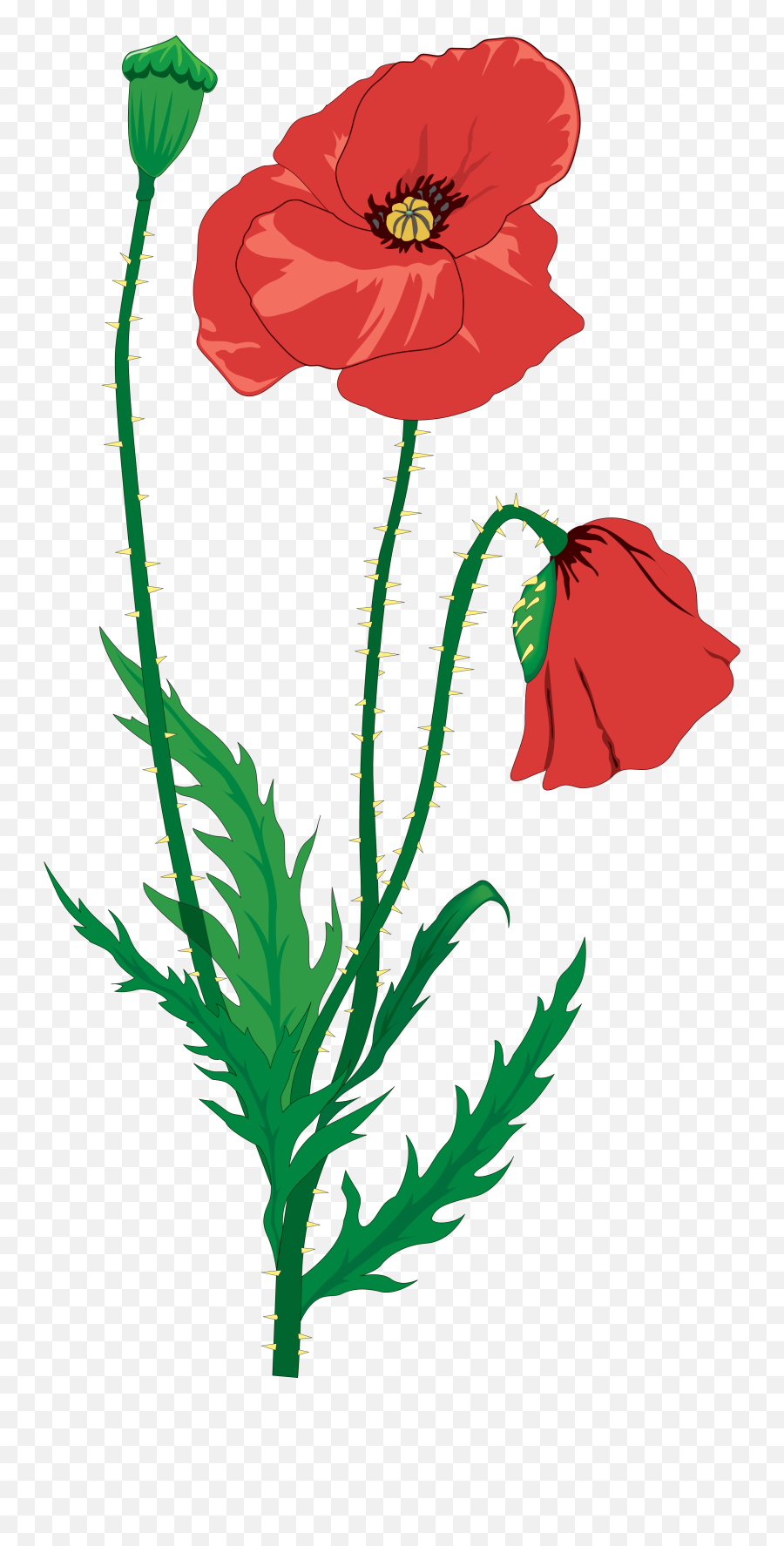 Drawing Flower Clip Art - Memorial Day And Poppies Poppies Poem Ww1 Png,Memorial Day Png