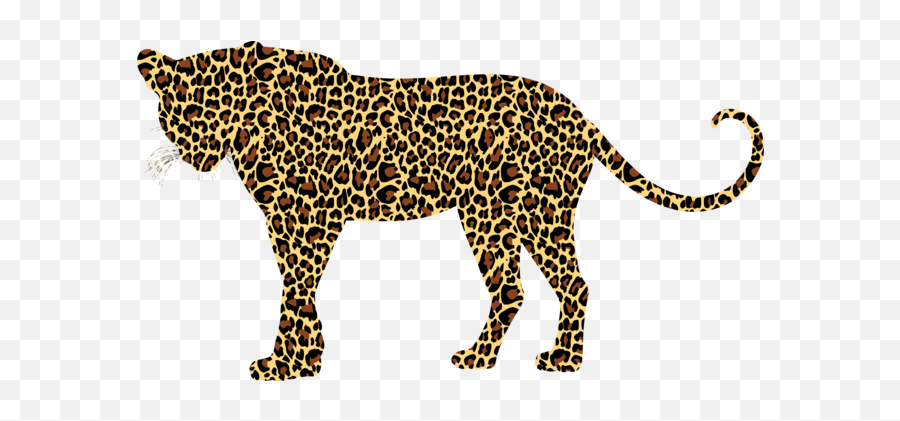 Cheetah Photo Background Transparent Png Images And Svg - Cheetah Tiger Animal Print,Cheetah Transparent