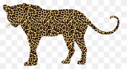 Cheetah Photo Background Transparent Png Images And Svg - Cheetah Tiger Animal Print,Cheetah Transparent