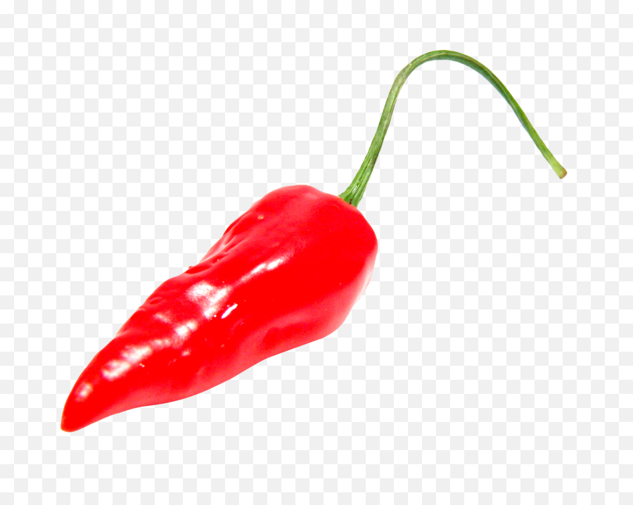 Red Chili Pepper Png Image - Red Chili Pepper Png,Red Pepper Png