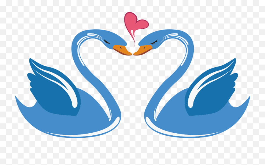 Swan Love Cartoon - Swan Heart Png 1000x1000 Png Clipart Swans Cartoon,Heart Cartoon Png