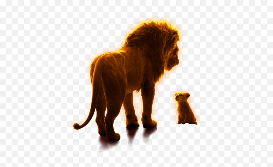 The Lion King U2013 Ryder - East African Lion Png,Lion King Transparent