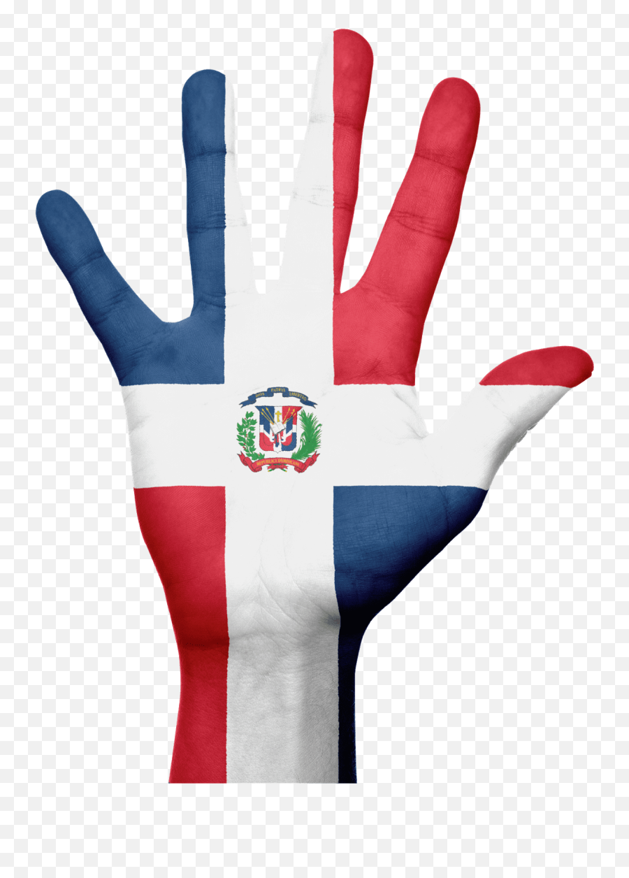 Dominican Republic Flag Icon - Dominican Republic Constitution Day Png,Dominican Flag Png