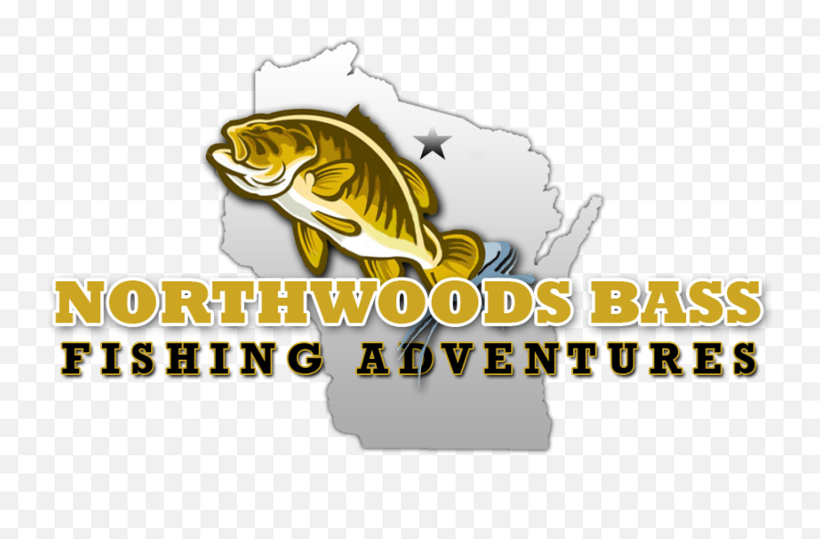 Wisconsin Bass Fishing Guide - Pull Fish Out Of Water Png,Bass Fish Logo