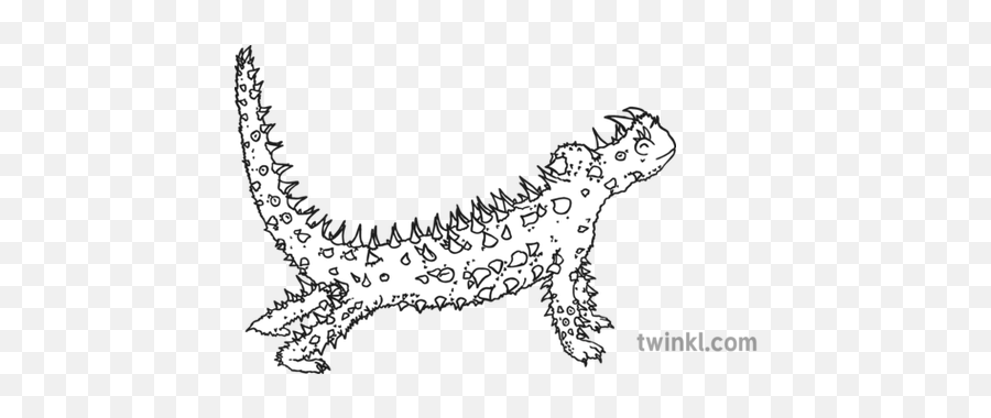 Thorny Devil Twinkl Eyes Black And White Illustration - Twinkl Thorny Devil Black And White Png,Devil Eyes Png