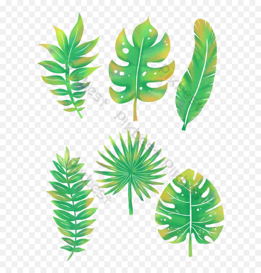 Watercolor Palm Leaves Templates Free Psd U0026 Png Vector - Daun Lukisan,Palm Leaf Transparent
