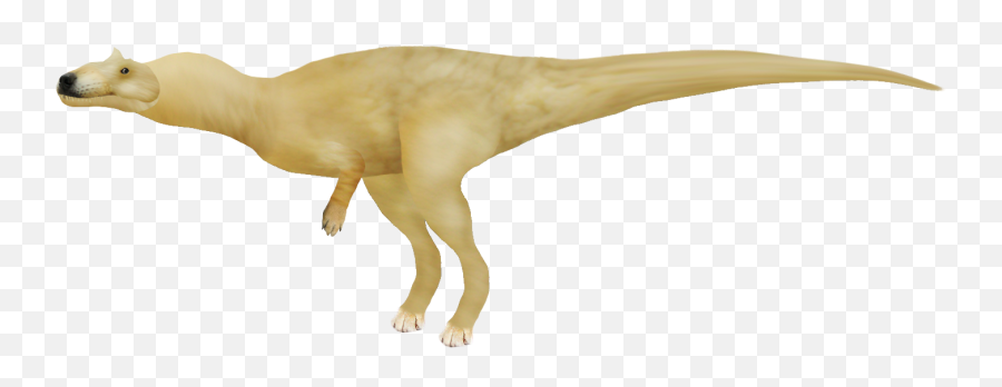 Allosaurus Doge Png More In Comments Rdogelore - Animal Figure,Doge Face Png