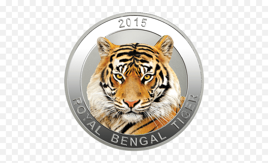 Agxxcog31 - President Andrzej Duda With A Tiger Png,Bengal Tiger Icon