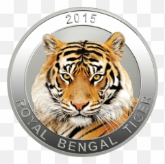 Agxxcog31 - President Andrzej Duda With A Tiger Png,Bengal Tiger Icon