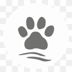 Catu0027s Best Sensitive - Dot png
