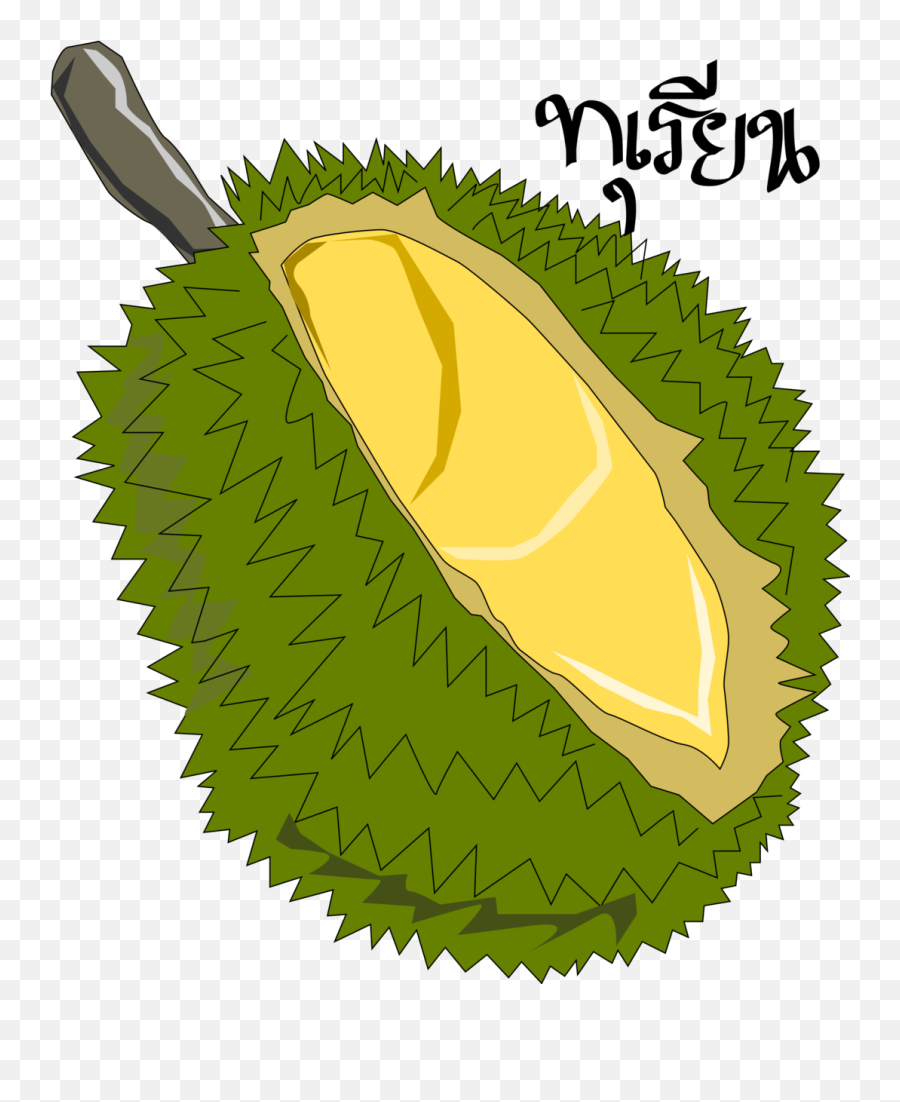 Durianthai Fruit U201cfreeu201d Png File Clipart U2013 Sellhotproducts - Durian Fruit Clip Art,Fruit Clipart Png