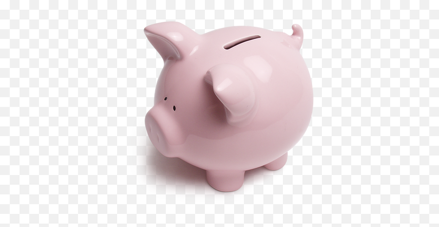 Online Giving Hceo2 - Domestic Pig Png,Piggy Bank Png