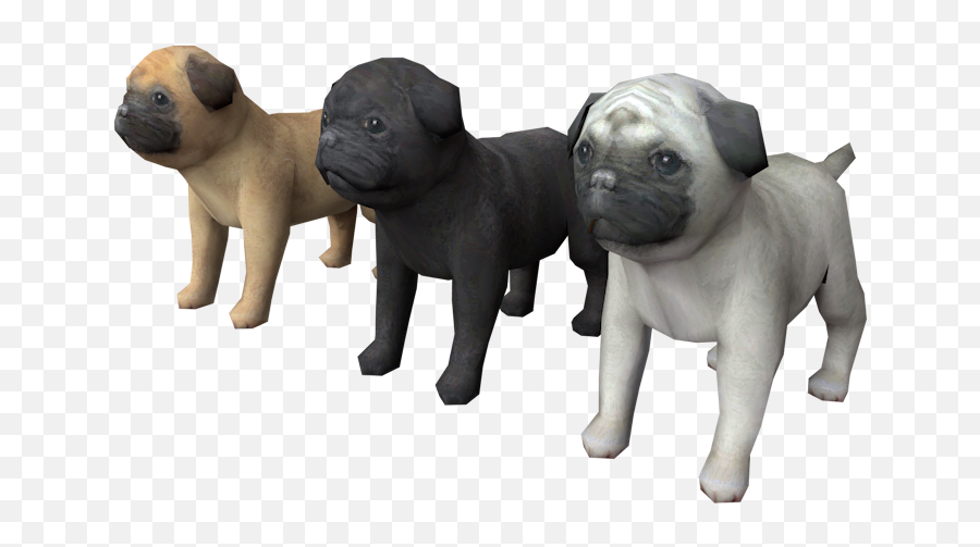 Ds Dsi - Nintendogs Pug The Models Resource Nintendogs Pug Png,Pug Icon