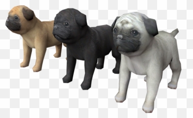 Ds Dsi - Nintendogs Pug The Models Resource png