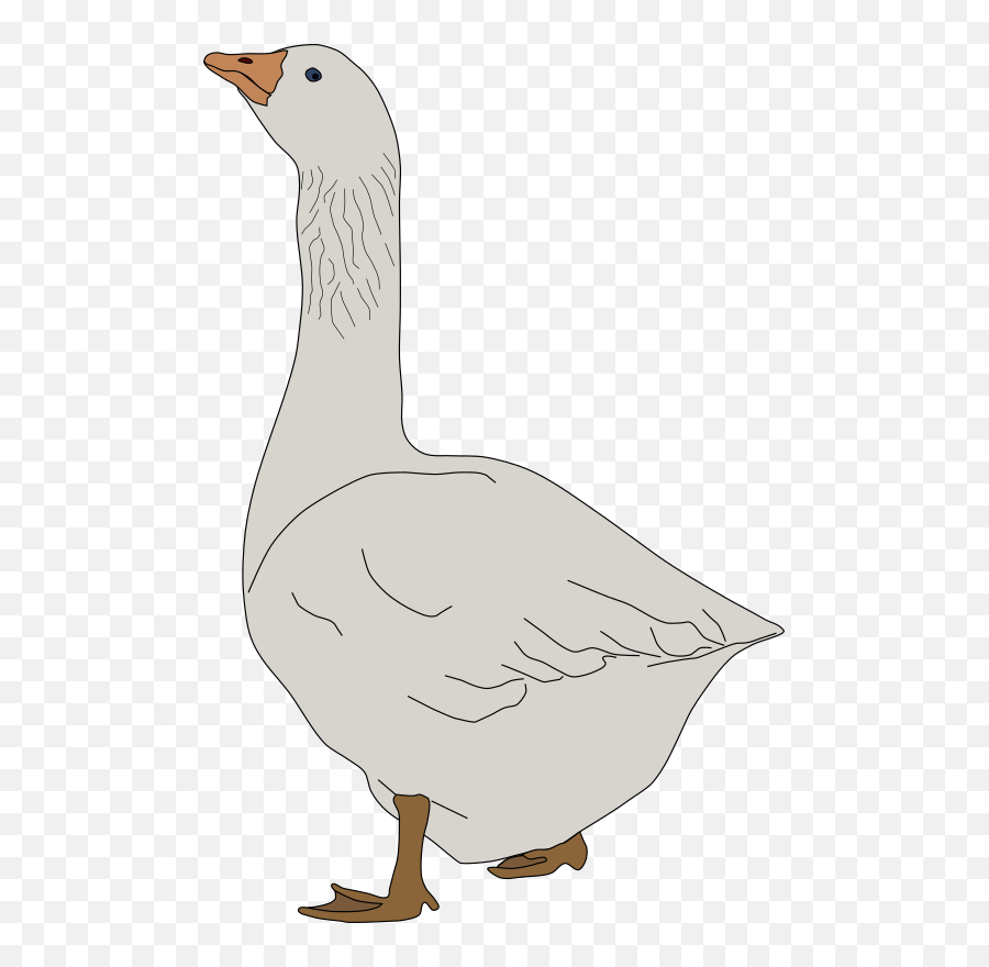 clipart goose