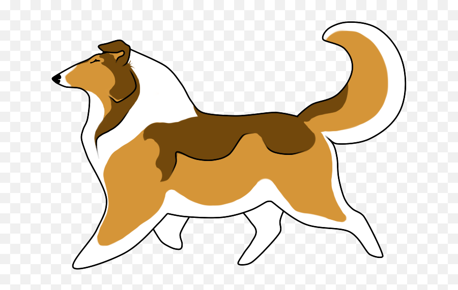 Rough Collie Border Bearded Shetland Sheepdog - Collie Clipart Png,Icon Border Collies