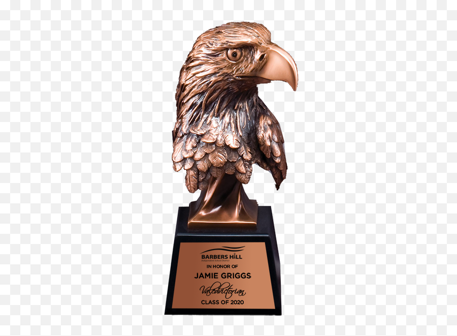 The Eagle Head Trophy Bronze Military Paradise Awards Png Icon