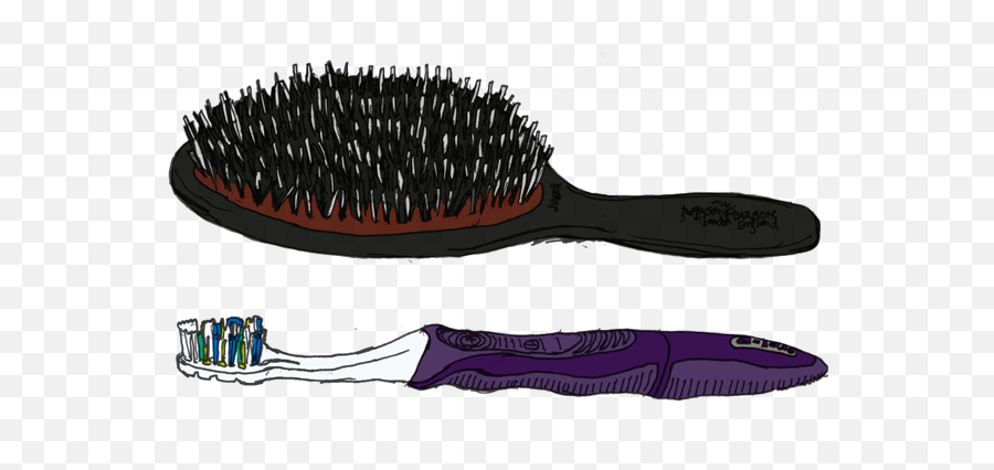 Download Hairbrush And Toothbrush My Drawings Sketchbook - Hair And Tooth Brush Png,Hairbrush Png