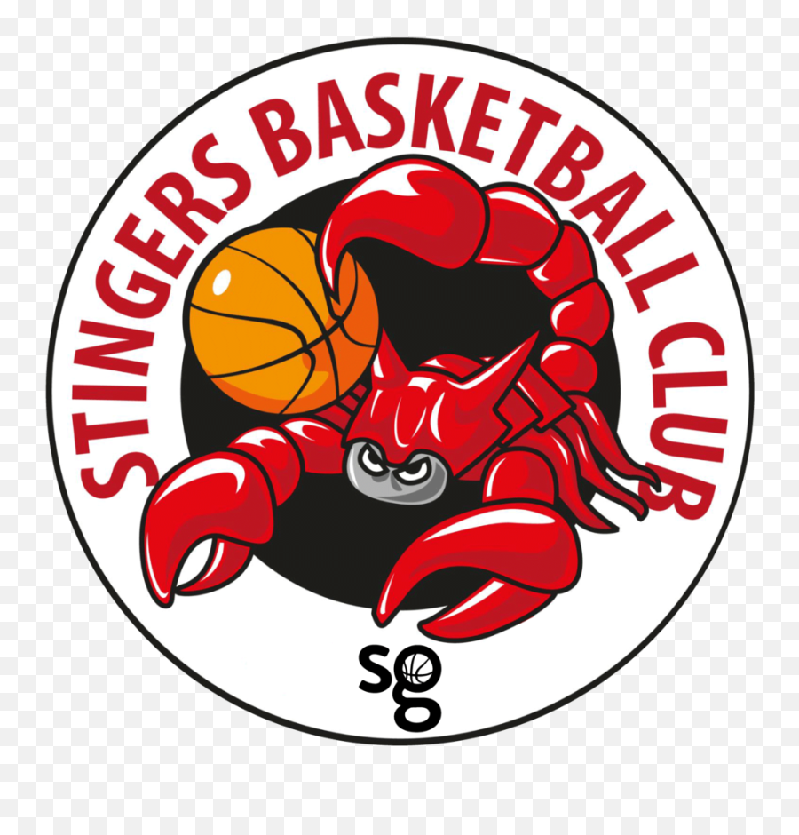 Stingers Basketball Club Png Ball