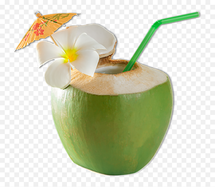 Coconut Png 03 - Straw In Coconut,Coconut Png