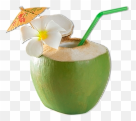 Coconut Png 03 - Straw In Coconut,Coconut Png