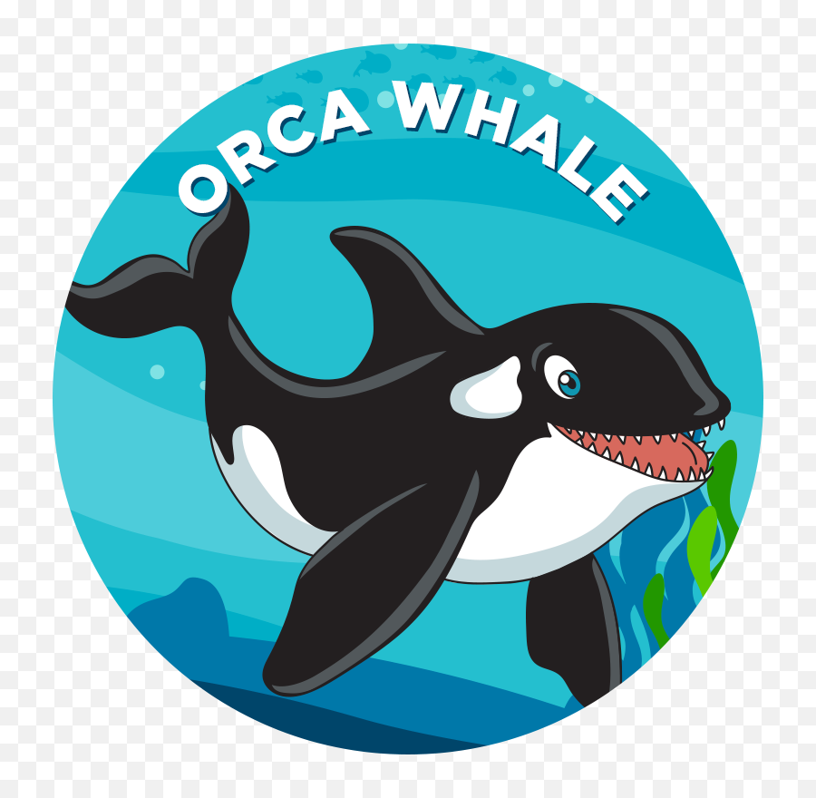 Download Orca Whale - Shortfin Mako Shark Cartoon Png,Orca Png