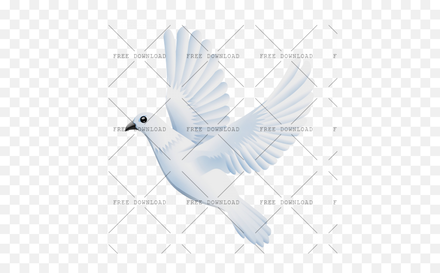 Dove Bird Png Image With Transparent Background