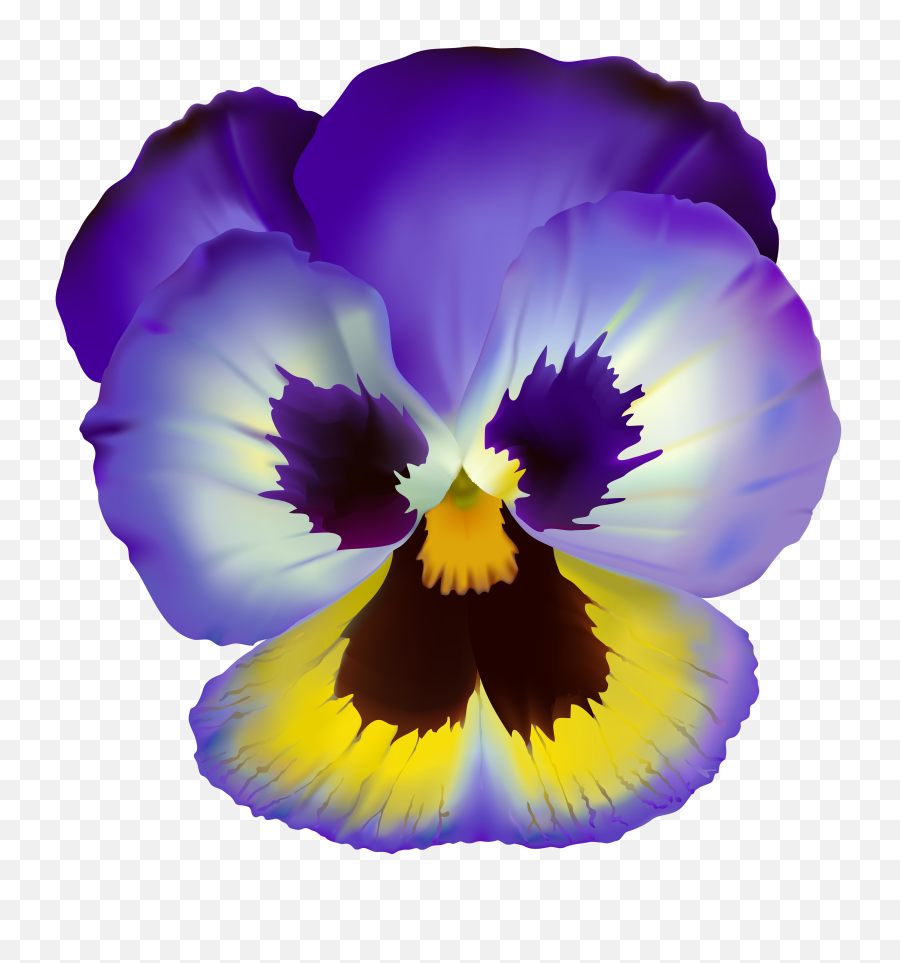 Violet Flower Transparent Clip Art - Simple Flower Violet Drawing Png,Clear Png