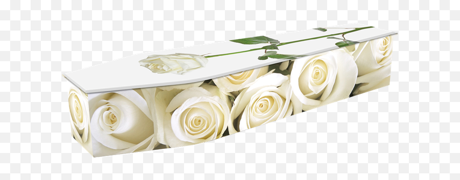 Expression - Flowers Coffin Design Png,White Roses Png