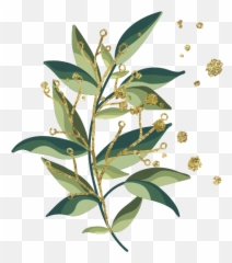 Tropical Leaves Wedding Bouquet Png Transparent Images - 3DPNG