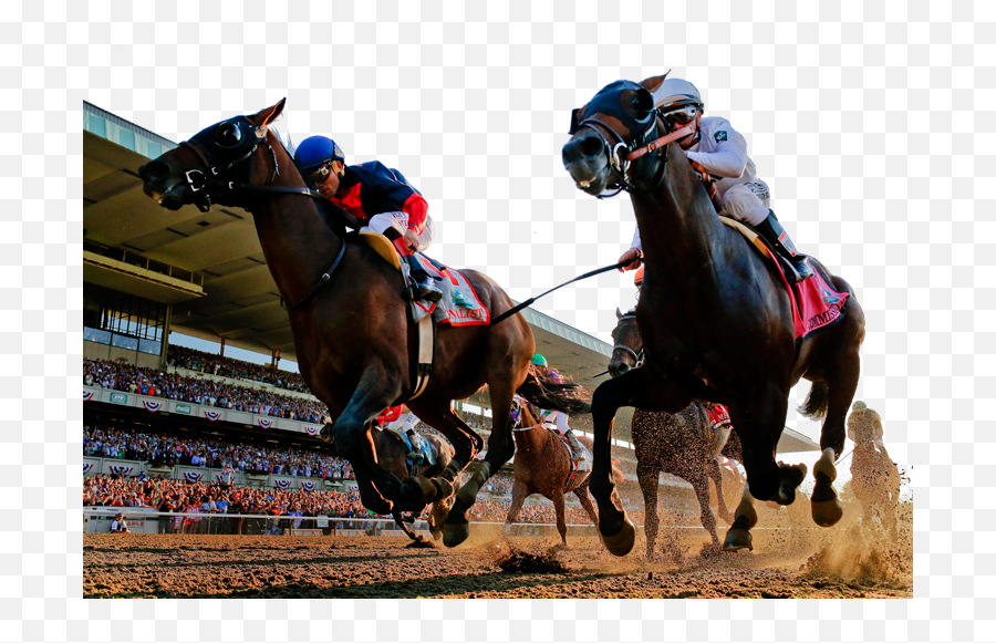 Horse Racing Png - Championship Racing Race Horse Tongue Black And White Horse Horse Racing,Twister Png