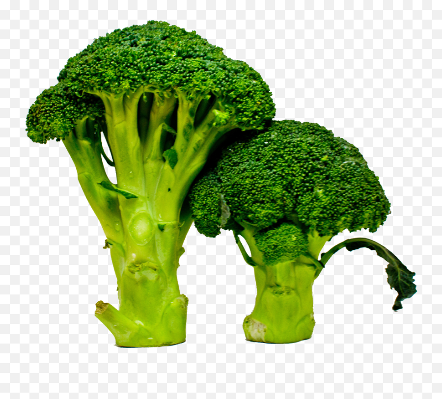 Press Kit - Broccoli Png,Brocolli Png