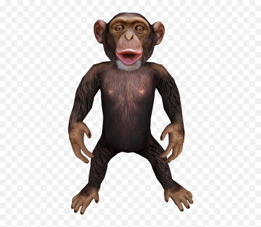 Download Chimp - Macaque Png,Chimp Png