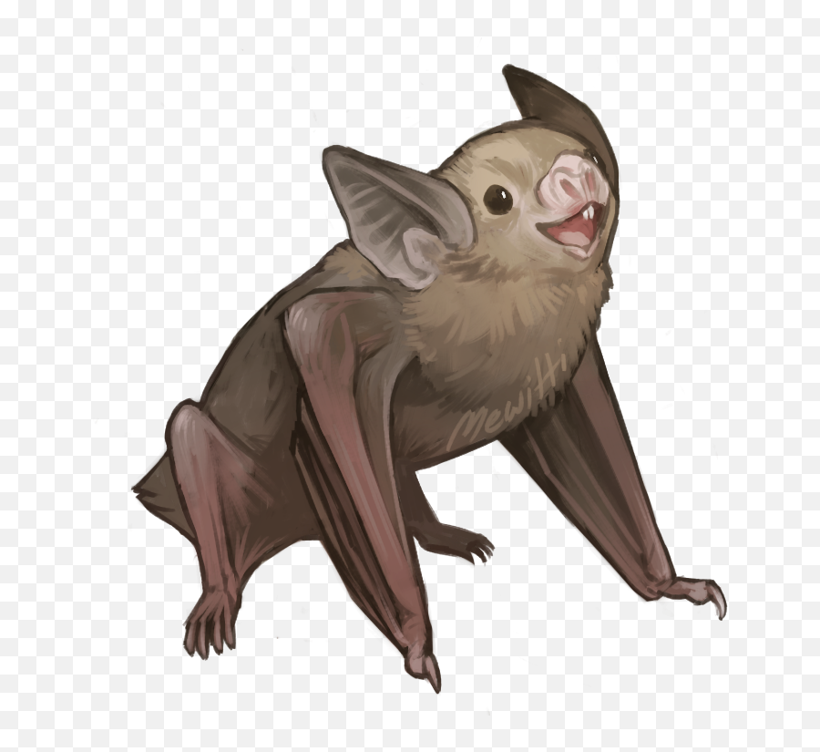 Drawn Bat Transparent - Common Vampire Bat Drawing Full Bumblebee Bat Clipart Png,Vampire Transparent