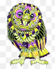 Venom Barn Owl Edition Of 50 - Owl Png,Barn Owl Png