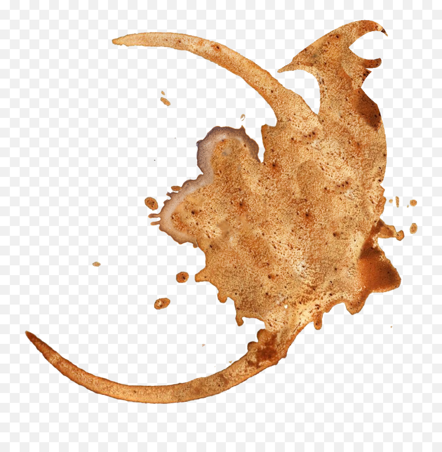 Deespot Notext Trans - Coffee Stain Full Size Png Download Spot Of Coffee Cup,Stain Png