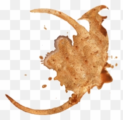 Deespot Notext Trans - Coffee Stain Full Size Png Download Spot Of Coffee Cup,Stain Png