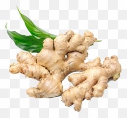Download Ginger Png Image With No Background - Pngkeycom Gingers Png,Ginger Png